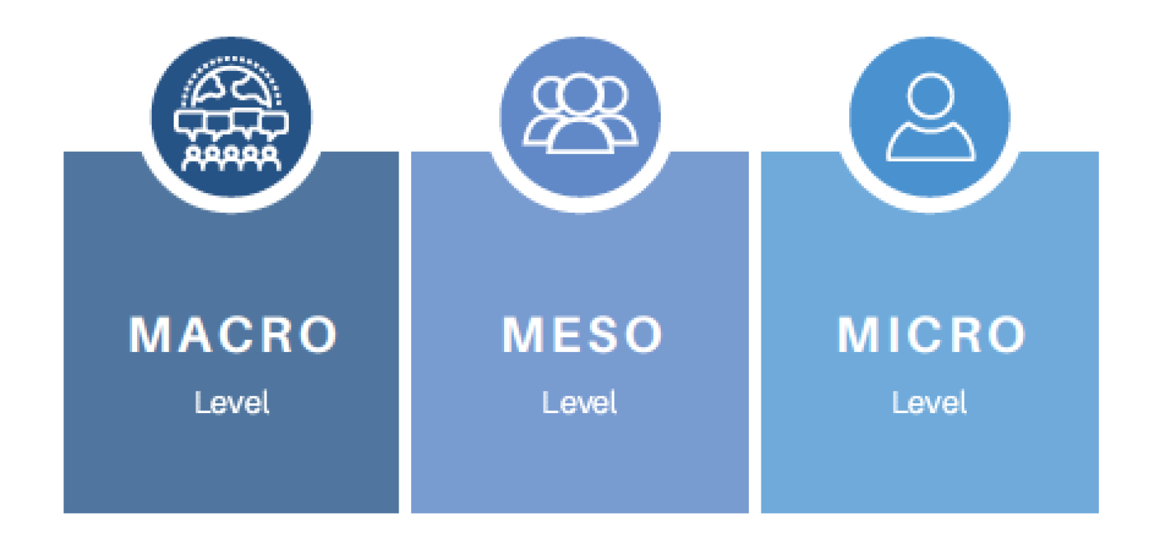 Programme Infographic