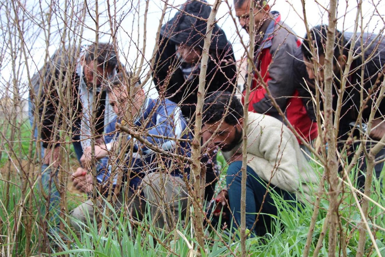 The initiative is managed by the Lebanese CSO Amel, one of WFP's partners in Lebanon, and run by local CSO Buzuruna Juzuruna (‘our seeds, our roots’)