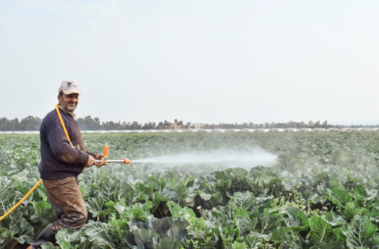 Farmer in Tal Hayat