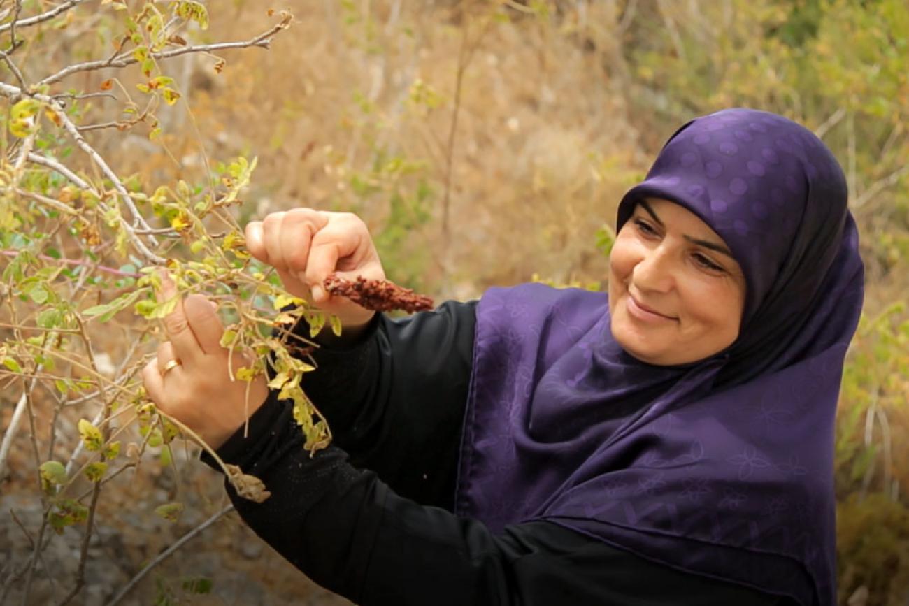 Ibtissam Jaber has transitioned from being a small-scale producer to a profitable entrepreneur