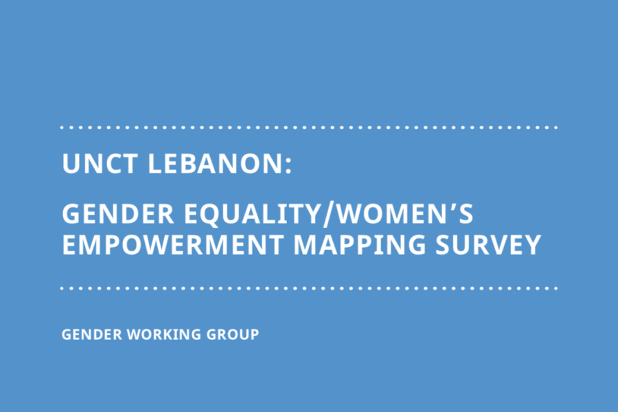 Gender Equality Womens Empowerment Mapping Survey United Nations In Lebanon 0089