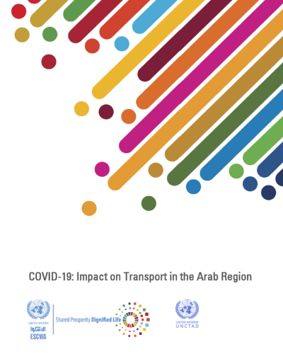 Arab National Reporting Platforms for the Sustainable Development Goals: Assessment