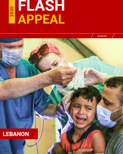 Lebanon Flash Appeal 2020