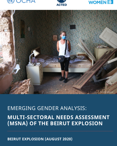 Emerging Gender Analysis: Multi-Sectoral Needs Assessment (Beirut Explosion)