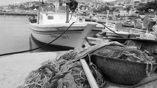 Lebanon's last Fishing Vessel Census was carried out in 2004