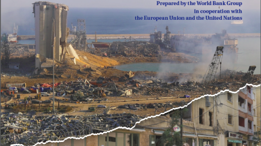 Beirut Rapid Damage and Needs Assessment