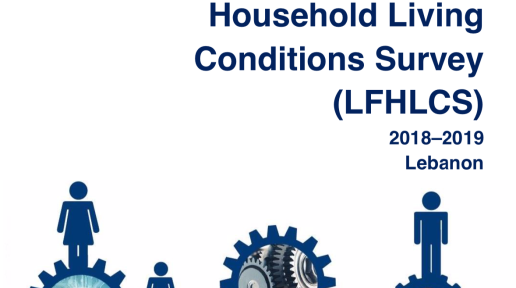 Labour Force and Household Living Conditions Survey (LFHLCS) 2018–2019