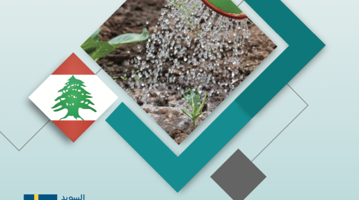 تقييم تأثير التغيرات في المياه المتاحة على انتاجية المحاصيل الزراعية في لبنان
