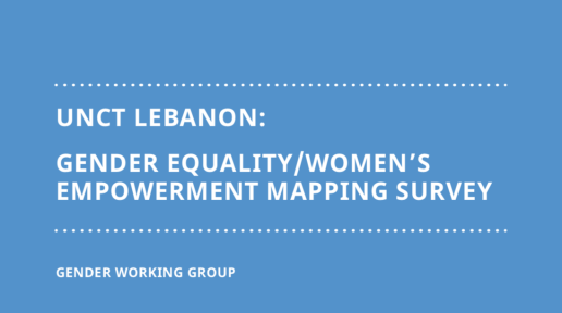 Gender Equality / Women’s Empowerment Mapping Survey