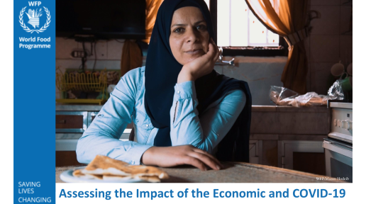 Assessing the Impact of the Economic and COVID-19 Crises in Lebanon